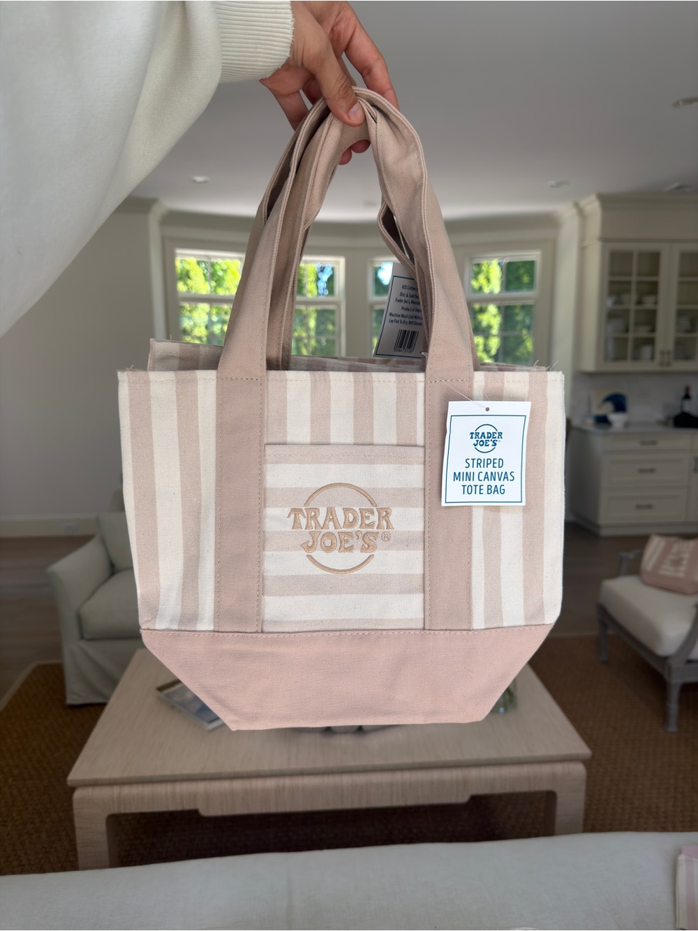 Trader Joe's Striped Mini Canvas Tote Bag in Beige